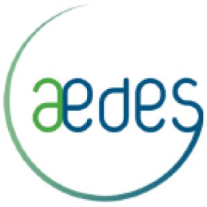 Aedes